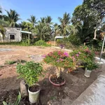 Bán đất biệt thự 417m² Hóc Môn, gần khu Phương Nam - Ảnh thu nhỏ 5