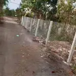 Bán đất Long Tân 1218m² Bà Rịa - Vũng Tàu 1 tỷ 850 triệu - Ảnh thu nhỏ 2