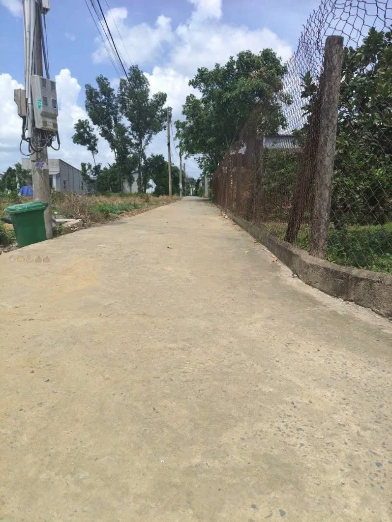 Bán nhà cấp 4 277m2 Tân Triều, Đồng Nai - Ảnh 1