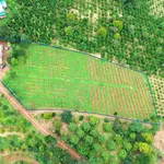 Bán đất 5000m2 có nhà 2PN tại Trường Xuân 1.5 tỷ - Ảnh thu nhỏ 4