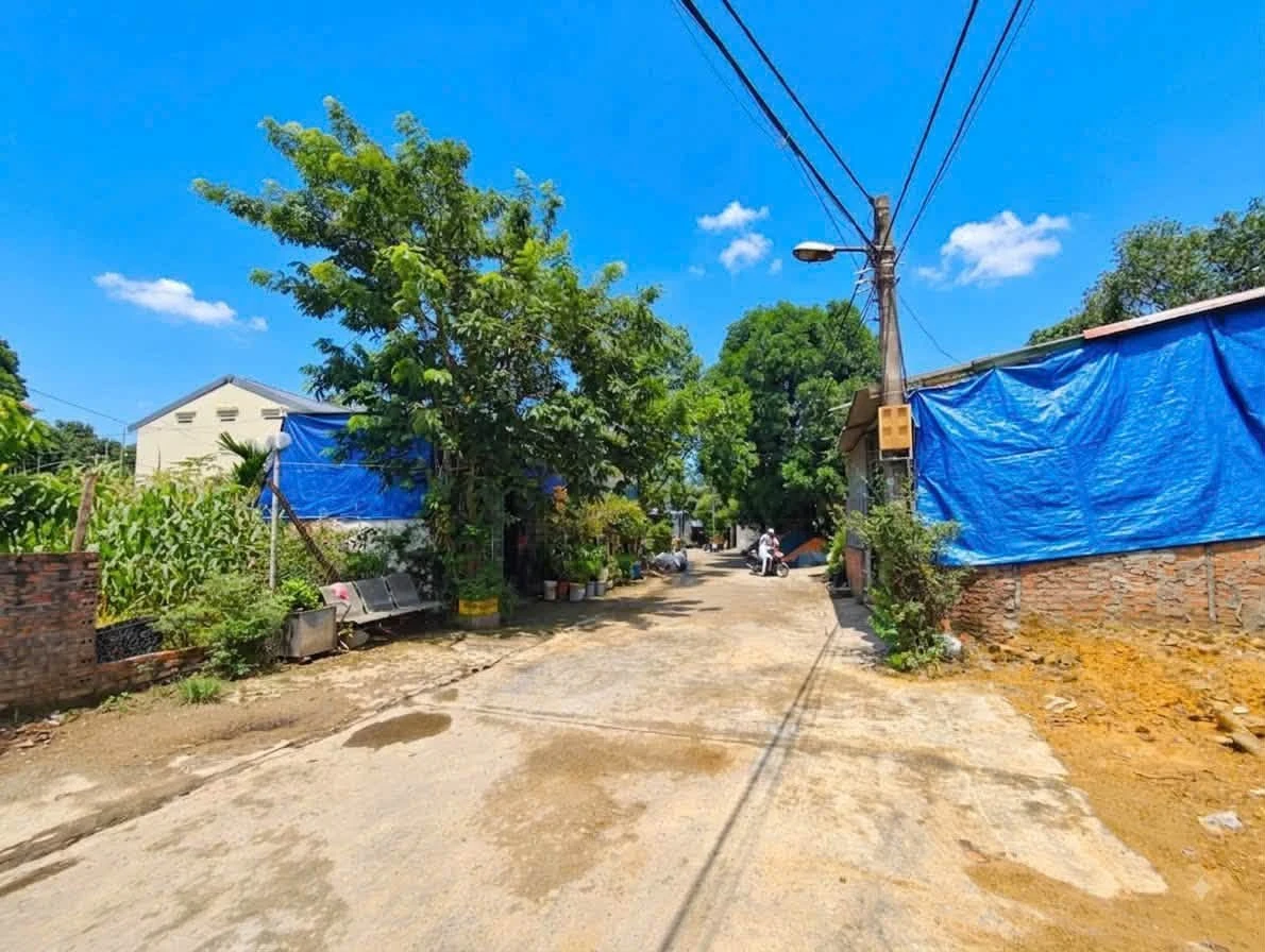 Bán đất Tân Phương - Minh Phương 85,6m² full thổ cư - Ảnh thu nhỏ 2