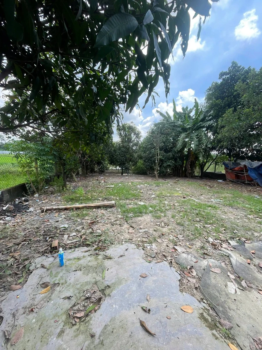 Cho thuê nhà vườn 2000m² Phước Vĩnh An Củ Chi 5 triệu/tháng - Ảnh thu nhỏ 3