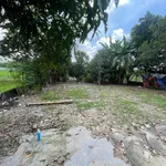 Cho thuê nhà vườn 2000m² Phước Vĩnh An Củ Chi 5 triệu/tháng - Ảnh thu nhỏ 3