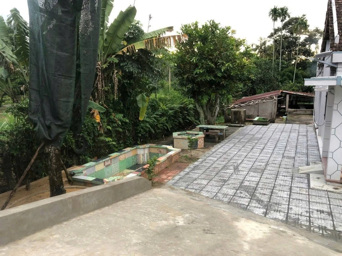 Bán đất mặt tiền đường Nguyễn Thị Rành 2294m2 có nhà cấp 4, vườn cây ăn trái, xã Phú Mỹ Hưng, Củ Chi - Ảnh thu nhỏ 5