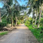 Bán đất Xã Tân Mỹ Ba Tri Bến Tre 7000m2 - Ảnh thu nhỏ 1