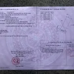 Bán nhà đang cho người nước ngoài thuê, mặt tiền đường nhựa 715 gần sân bay Phan Thiết - Ảnh thu nhỏ 16