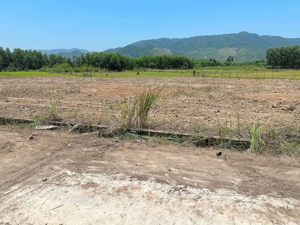 Bán 2 lô đất 580m² mặt tiền đường Bêtông Nhà Bè - Ảnh thu nhỏ 3