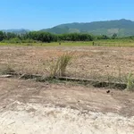 Bán 2 lô đất 580m² mặt tiền đường Bêtông Nhà Bè - Ảnh thu nhỏ 3