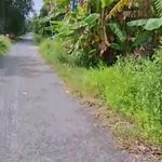 Bán đất tại Xã Mỹ Hòa, Tháp Mười, Đồng Tháp, 16 tỷ, 3053,5 m2 - Ảnh thu nhỏ 4