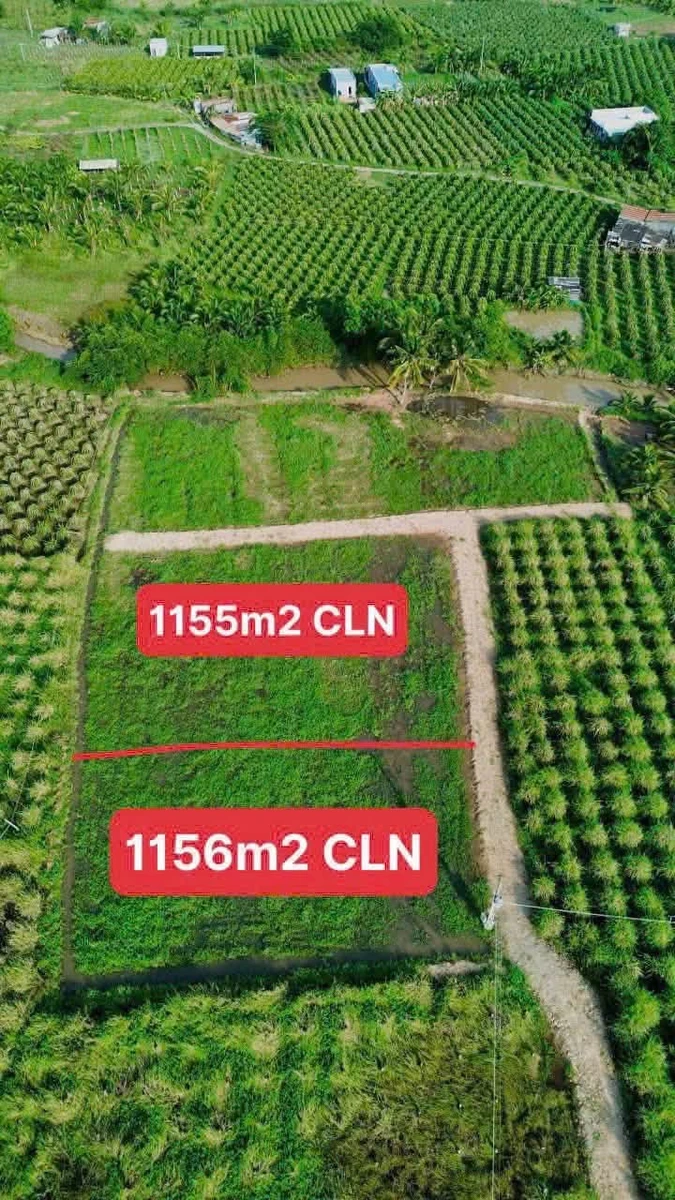 Bán đất 1155m2 gần Phan Thiết, 430 triệu - Ảnh 1