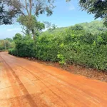 Bán đất hẻm Vành Đai 5x18m giá 379 triệu, Phường Ea Tam, Đắk Lắk - Ảnh thu nhỏ 3