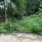 Bán đất nền đầu tư 1.392m2 đường số 30 Nha Bích, Nhà Bè - Ảnh thu nhỏ 5