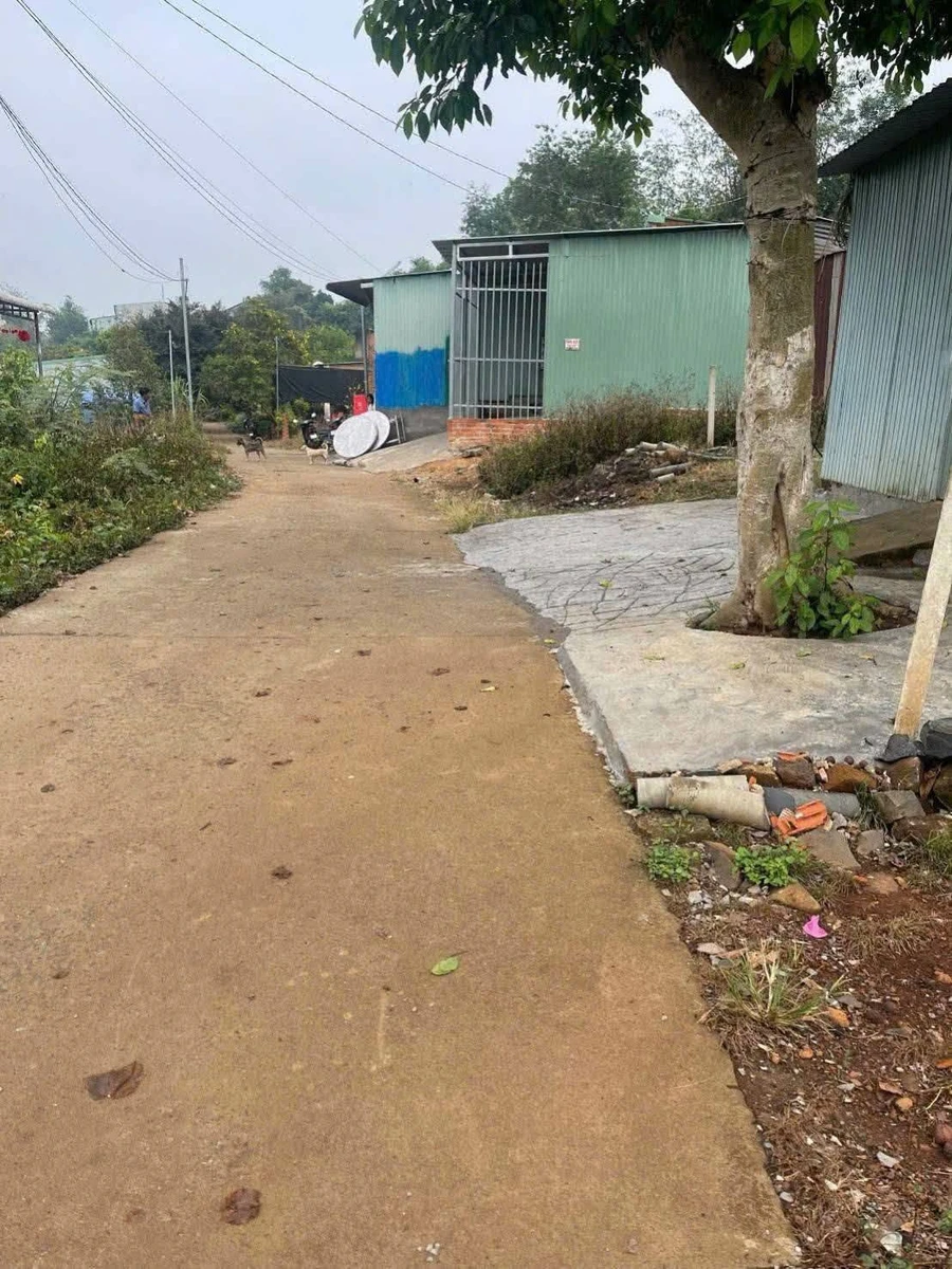 Bán đất 90m² tặng nhà tôn Đồng Tiến, Bình Phước 230 triệu - Ảnh thu nhỏ 2