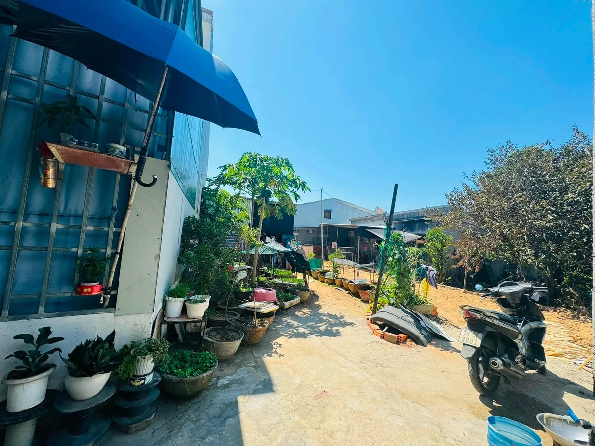 Bán đất hẻm Trần Quang Khải 77.7m2 950 triệu - Ảnh thu nhỏ 3
