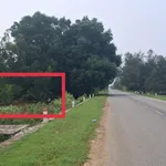Bán đất ven biển 155m² Châu Tân, Quảng Ngãi - Ảnh thu nhỏ 1