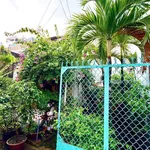 Bán nhà vườn cấp 4 219m² (10x22) hẻm Thống Nhất, P.16, Gò Vấp – 15,5 tỷ - Ảnh thu nhỏ 5