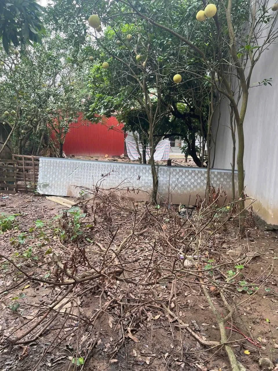 Bán đất 50m² Thanh Trì, Hà Nội, 5 tỷ - Ảnh thu nhỏ 2