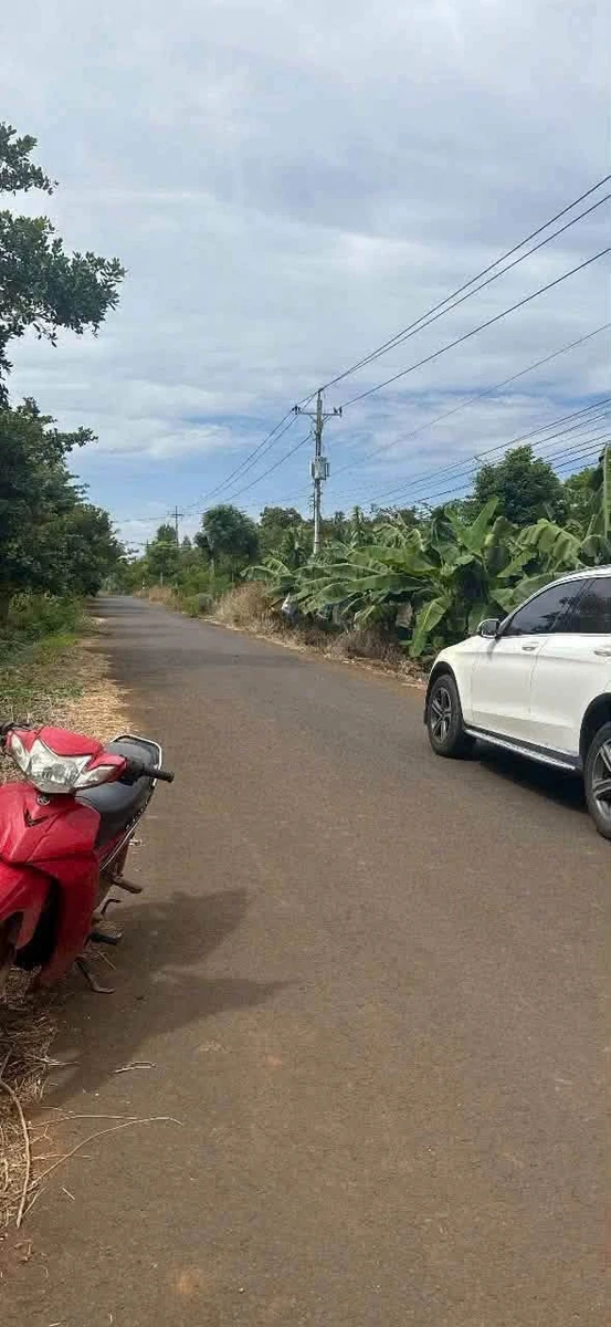 Bán đất 8 sào Bàu Lâm Xuyên Mộc 7 tỷ - Ảnh thu nhỏ 2