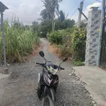Bán nhà vườn 1097m2 đường ô tô, sổ hồng riêng tại Lương Hòa, Bến Lức, Long An - Ảnh thu nhỏ 1