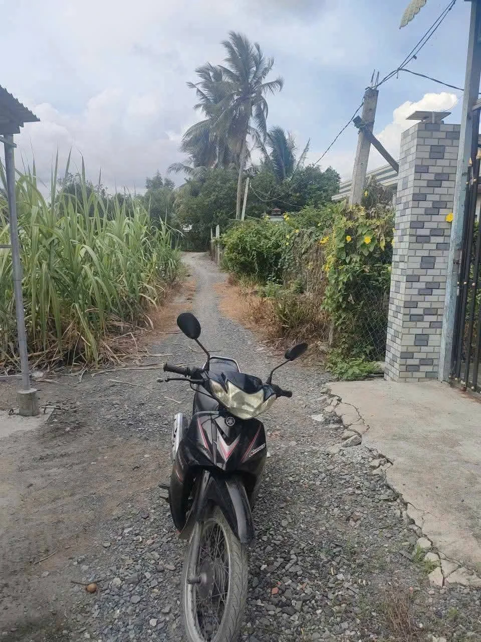 Bán nhà vườn 1097m2 đường ô tô, sổ hồng riêng tại Lương Hòa, Bến Lức, Long An - Ảnh 1