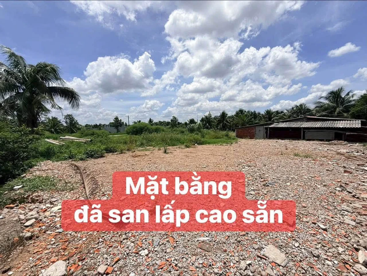 Bán đất mặt tiền HL173 730m2 Phú Tân, Cần Giờ 3.3 tỷ - Ảnh thu nhỏ 4
