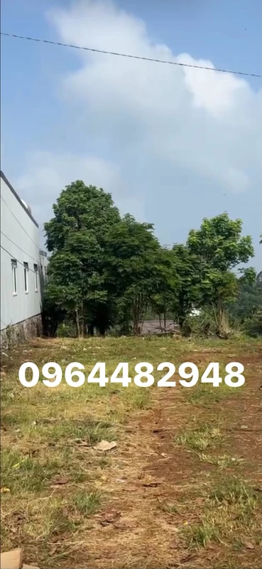 Bán đất mặt đường nhựa Đắk Mìn, 160m², 1.55 tỷ