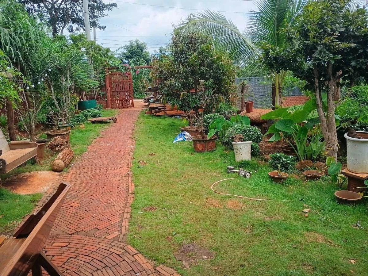 Bán đất vườn Thôn 6 Phạm Ngũ Lão 1039m², 2 tỷ 450 triệu - Ảnh thu nhỏ 3