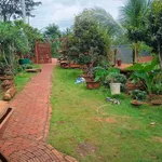 Bán đất vườn Thôn 6 Phạm Ngũ Lão 1039m², 2 tỷ 450 triệu - Ảnh thu nhỏ 3