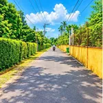 Bán đất thổ cư 5x33m sổ riêng giá 950 triệu tại Bình Lộc, Đồng Nai - Ảnh thu nhỏ 3