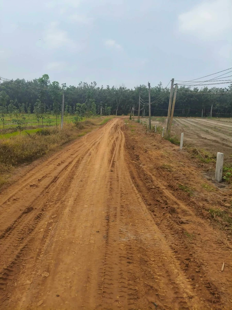 Bán đất nền Thạnh Bình 300m² 129 triệu - Ảnh 1