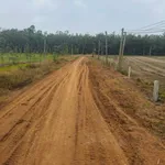 Bán đất nền Thạnh Bình 300m² 129 triệu - Ảnh thu nhỏ 1