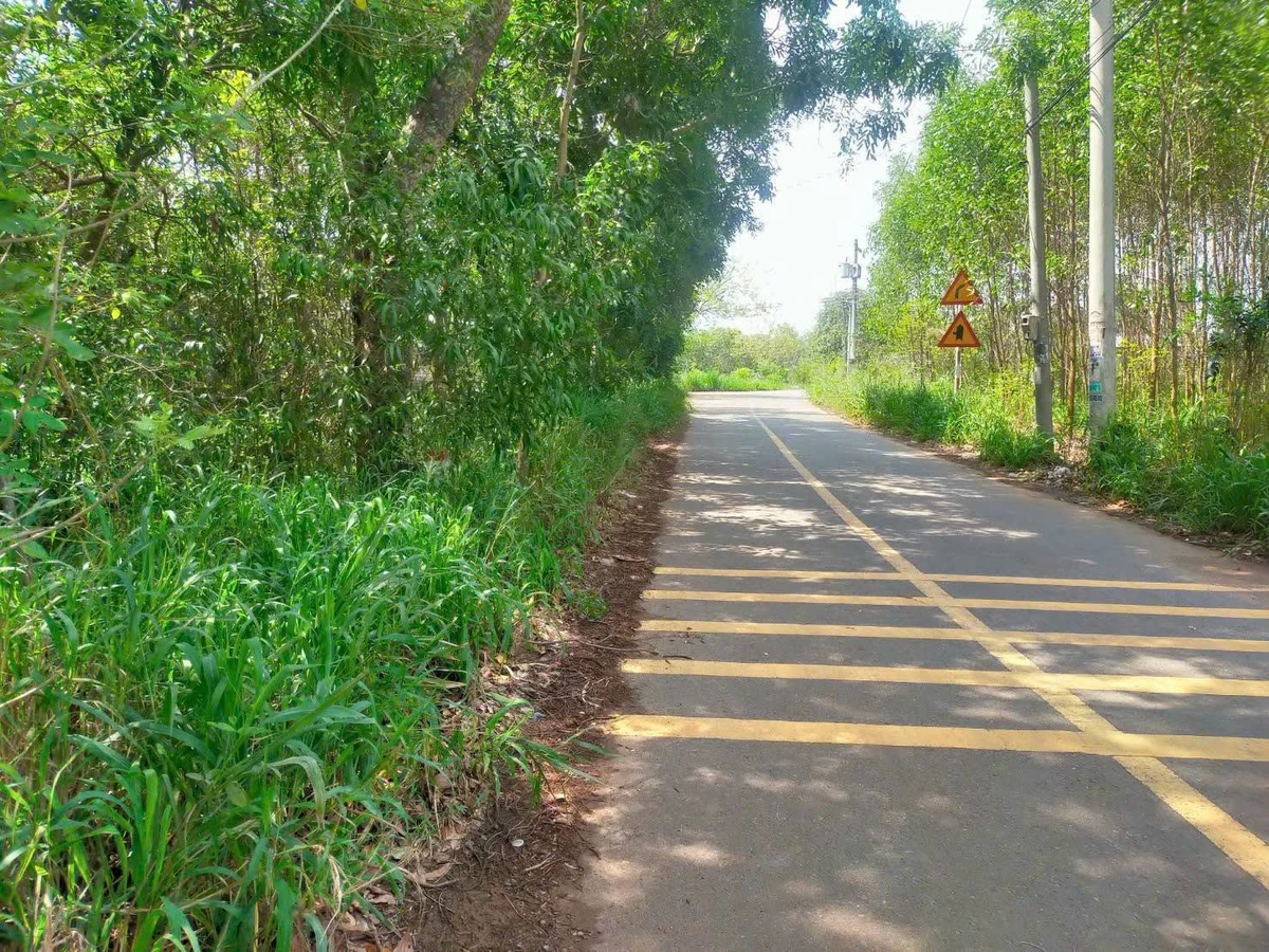 Bán đất trang trại 2300m2 Đồng Nai 2 tỷ 3 - Ảnh thu nhỏ 3