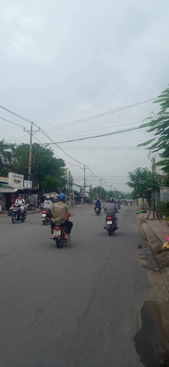 Bán đất nền 522m2 (thổ + vườn) Nguyễn Thông, Tây Ninh - Ảnh thu nhỏ 4