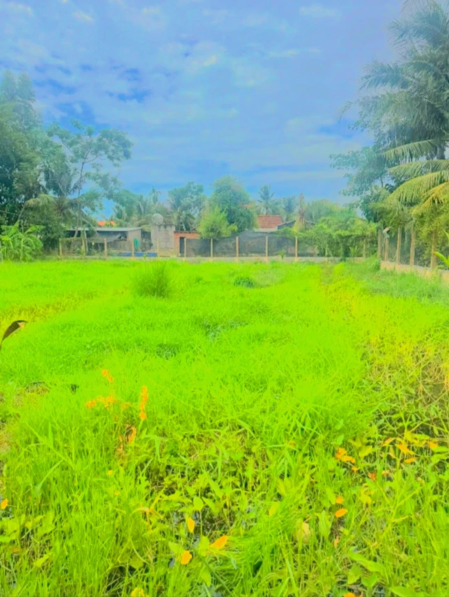 Bán đất Hòn Hèo 164m2 Ninh Hoà - Ảnh thu nhỏ 4