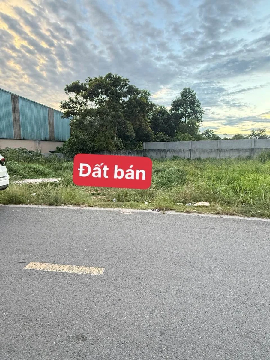 Bán đất mặt tiền kinh doanh Tân Định, Bến Cát 100m² 1 tỷ 3 - Ảnh thu nhỏ 5
