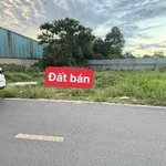 Bán đất mặt tiền kinh doanh Tân Định, Bến Cát 100m² 1 tỷ 3 - Ảnh thu nhỏ 5