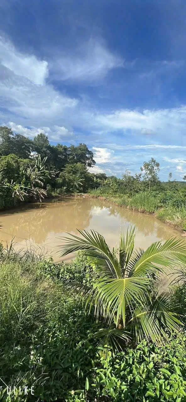 Bán đất rẫy 1,1ha cà phê sầu riêng Buôn Ma Thuột - Ảnh 1