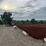 Bán đất nông nghiệp 500m² Y Moan, sổ riêng giá 1 tỷ 589 triệu - Ảnh thu nhỏ 2