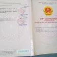 Vị trí đắc địa MT đường Huyện Lộ 9, cách ngã ba Nguyễn Trãi vào đúng 4 căn nhà. 15x72m, nở hậu 28m - Ảnh thu nhỏ 15