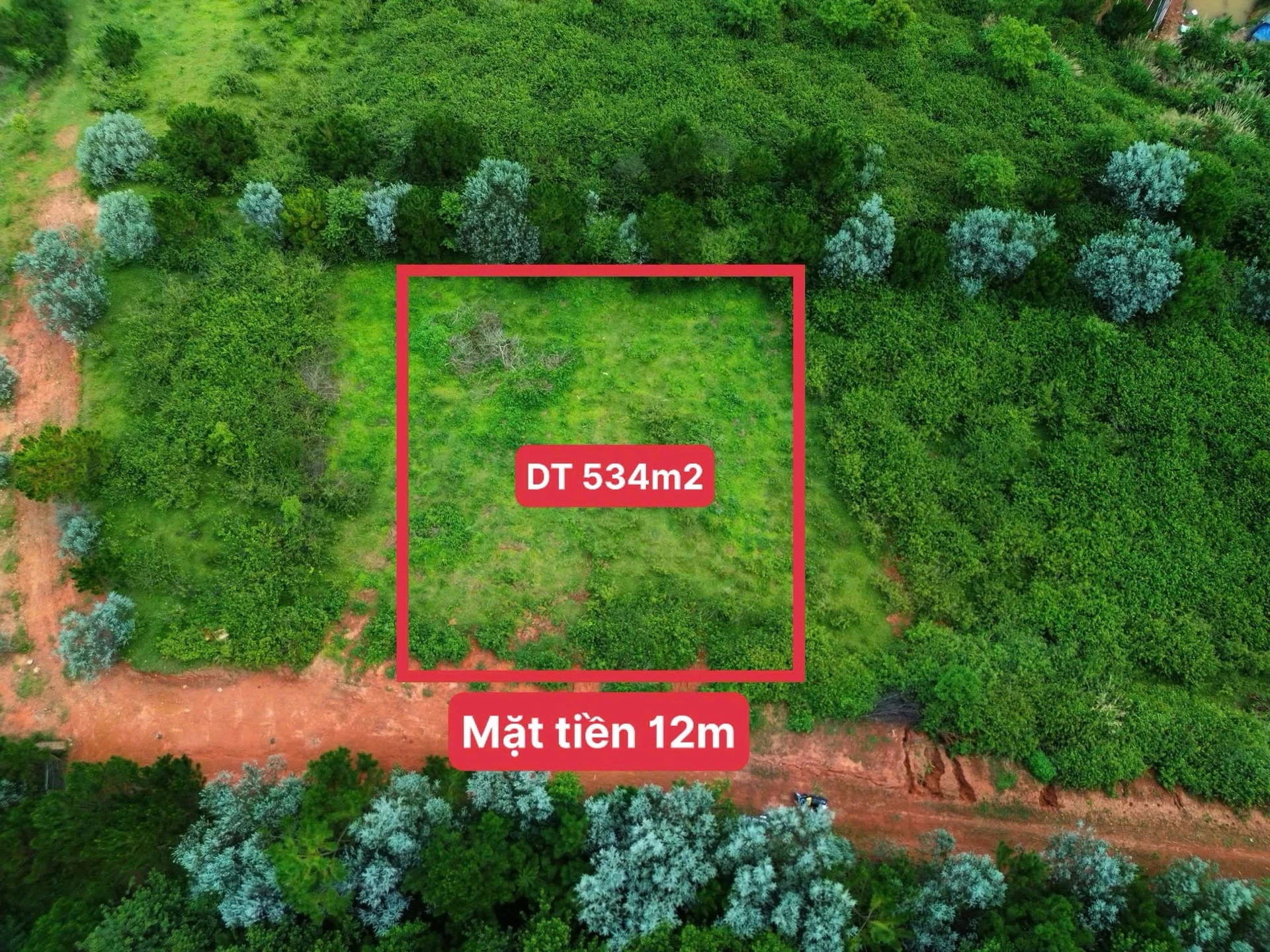 Bán đất view săn mây Lạc Dương 534m² - 2 tỷ 3 - Ảnh 1