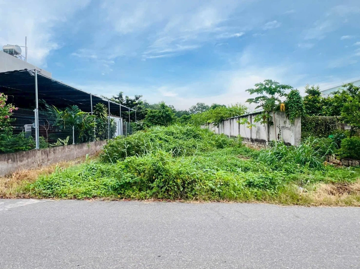 Bán đất nhà vườn mặt tiền Nguyễn Minh Khanh 279m², P. Long Tâm, TP. Bà Rịa - 4,38 tỷ - Ảnh thu nhỏ 2