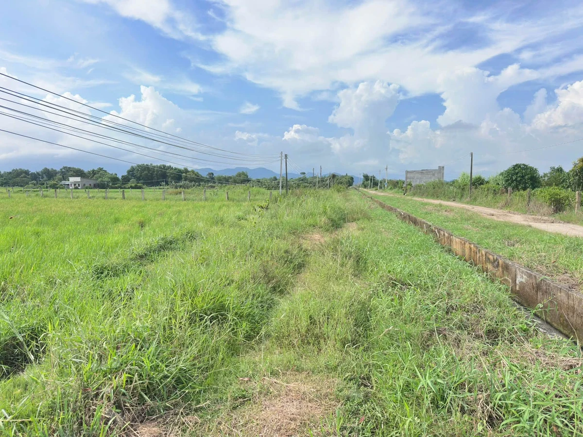 Bán lô đất Hàm Chính 1499m² sổ hồng công chứng - Ảnh thu nhỏ 2