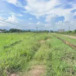 Bán lô đất Hàm Chính 1499m² sổ hồng công chứng - Ảnh thu nhỏ 2