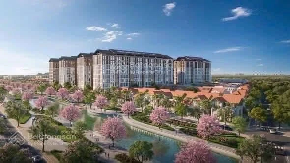 1 tỷ 7 sở hữu căn 3 phòng ngủ tại tòa P12, dự án Sun Urban City Hà Nam - Ảnh thu nhỏ 4