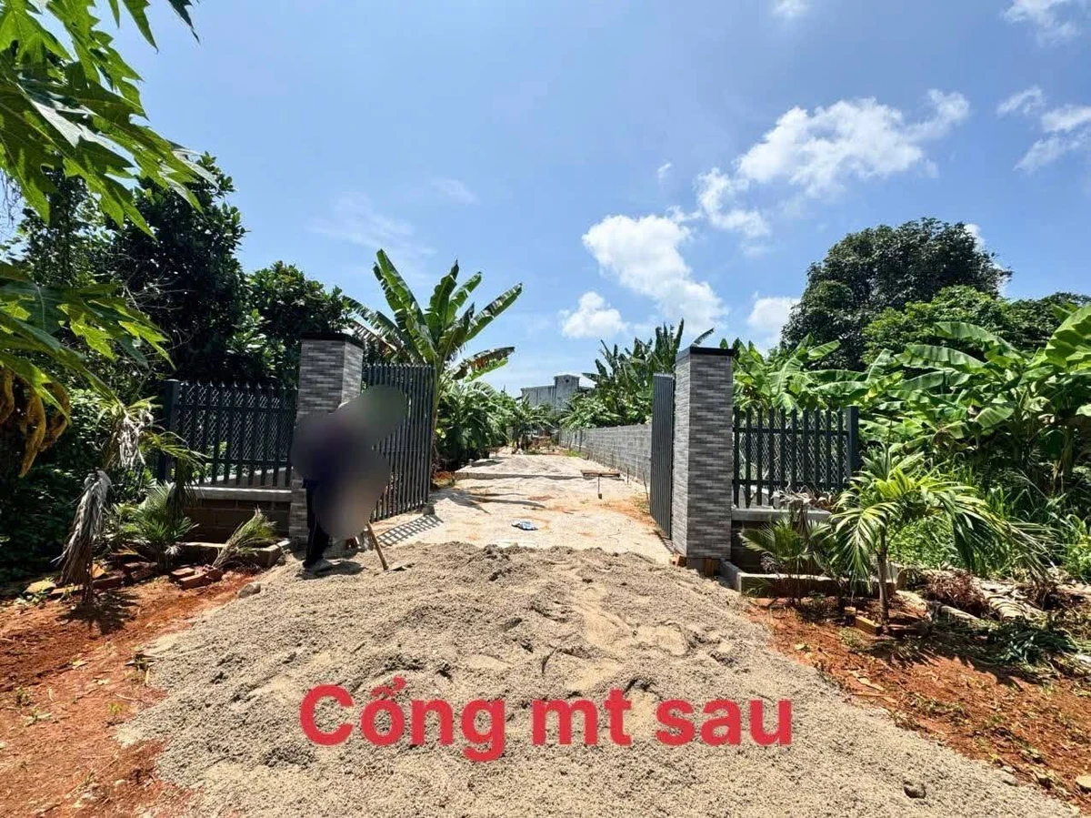 Bán đất 535m2 Tam Long, Nhà Bè, 3 tỷ 200 - Ảnh thu nhỏ 3