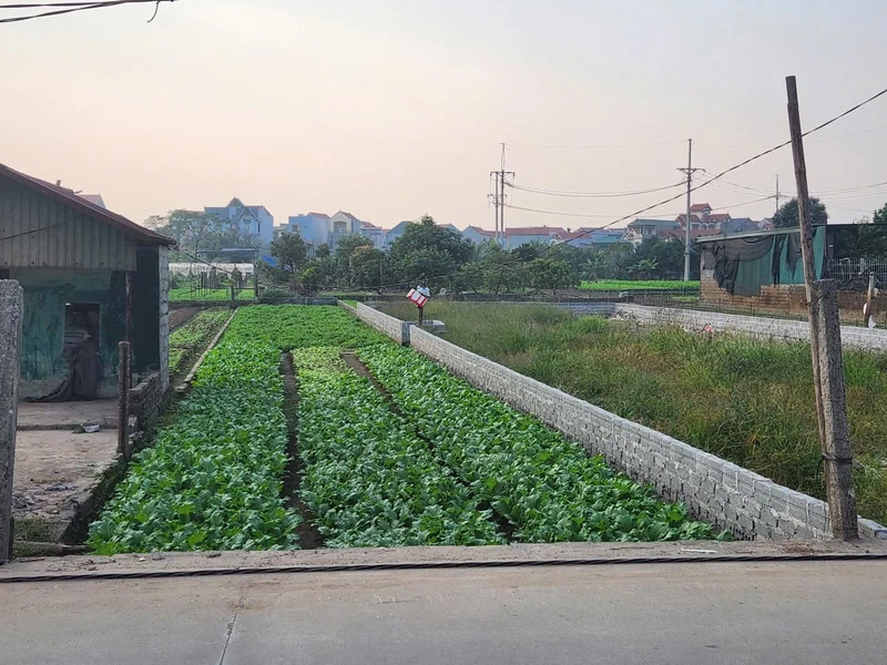 Bán đất mặt chợ 255m² Chương Dương Hà Nội 1,2 tỷ