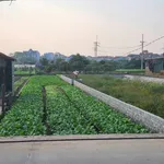 Bán đất mặt chợ 255m² Chương Dương Hà Nội 1,2 tỷ - Ảnh thu nhỏ 1