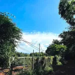 Bán vườn cà phê 4,2 sào Buôn Kom Leo, Đắk Lắk - Ảnh thu nhỏ 2