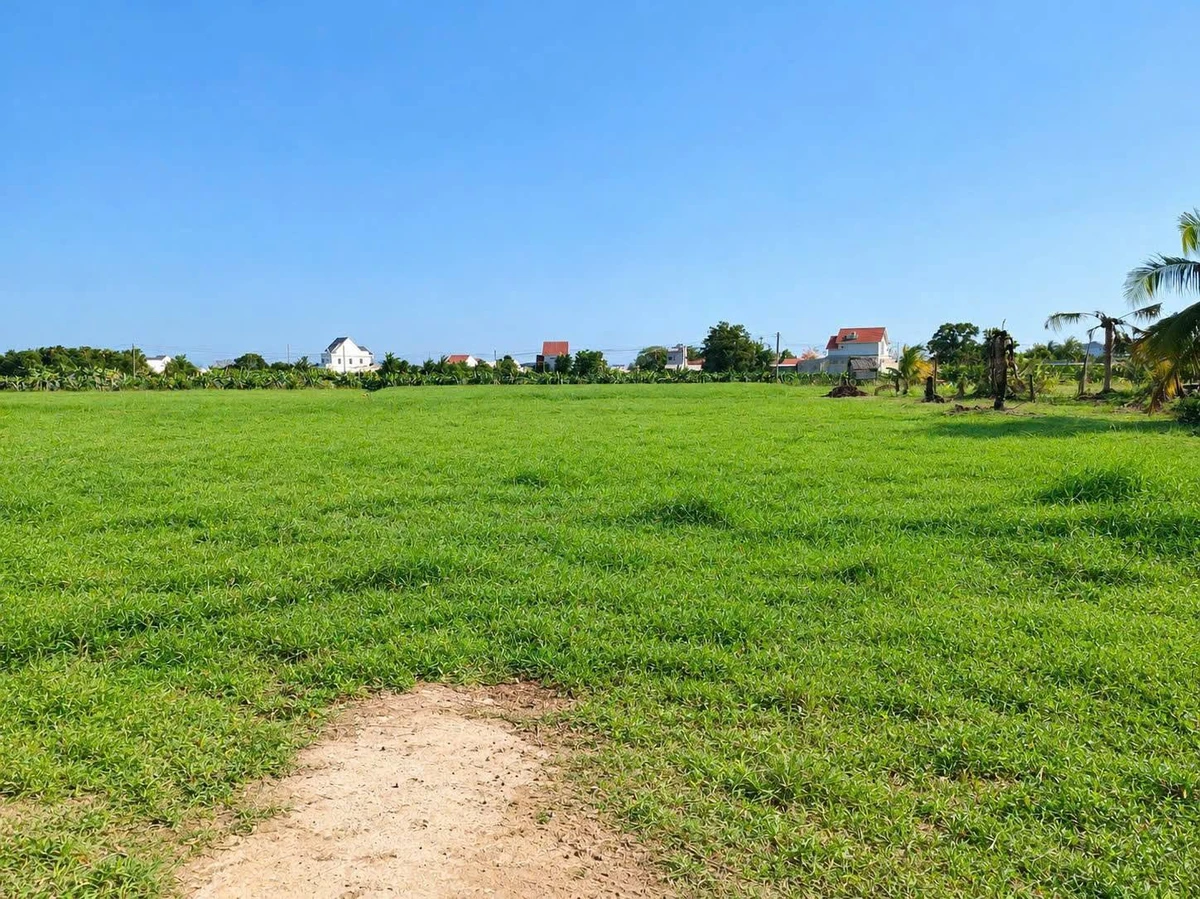 Bán đất 1800m² thổ cư Hàm Liêm, Lâm Đồng - Ảnh thu nhỏ 2