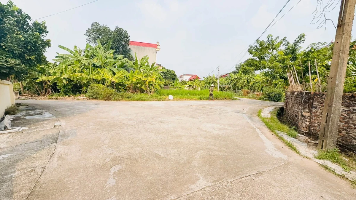 Bán đất 85,5m² Vĩnh Trại Lương Tài Bắc Ninh 1 tỷ 5 - Ảnh 1